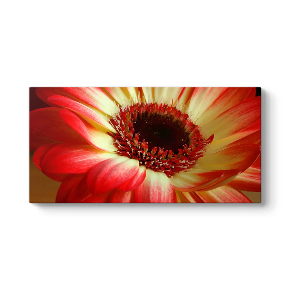 Kırmızı Gerbera Çiçeği Tablosu - Model 5